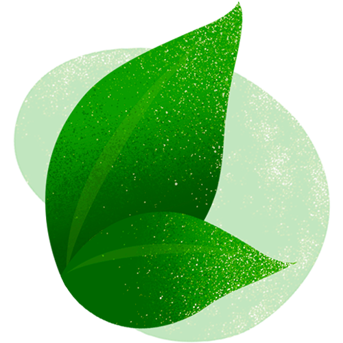 Cor de 2020: Verde